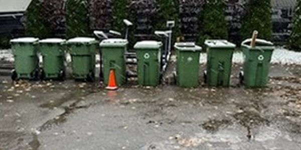 Recycling bins bac verts Recycling bins bacs verts
