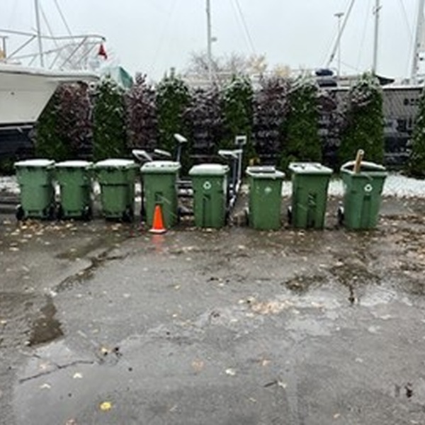 Recycling bins bacs verts